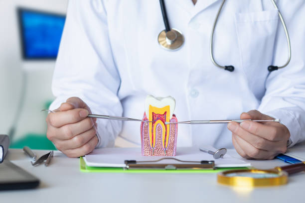 Best Emergency Broken Tooth Repair in Kathleen, FL